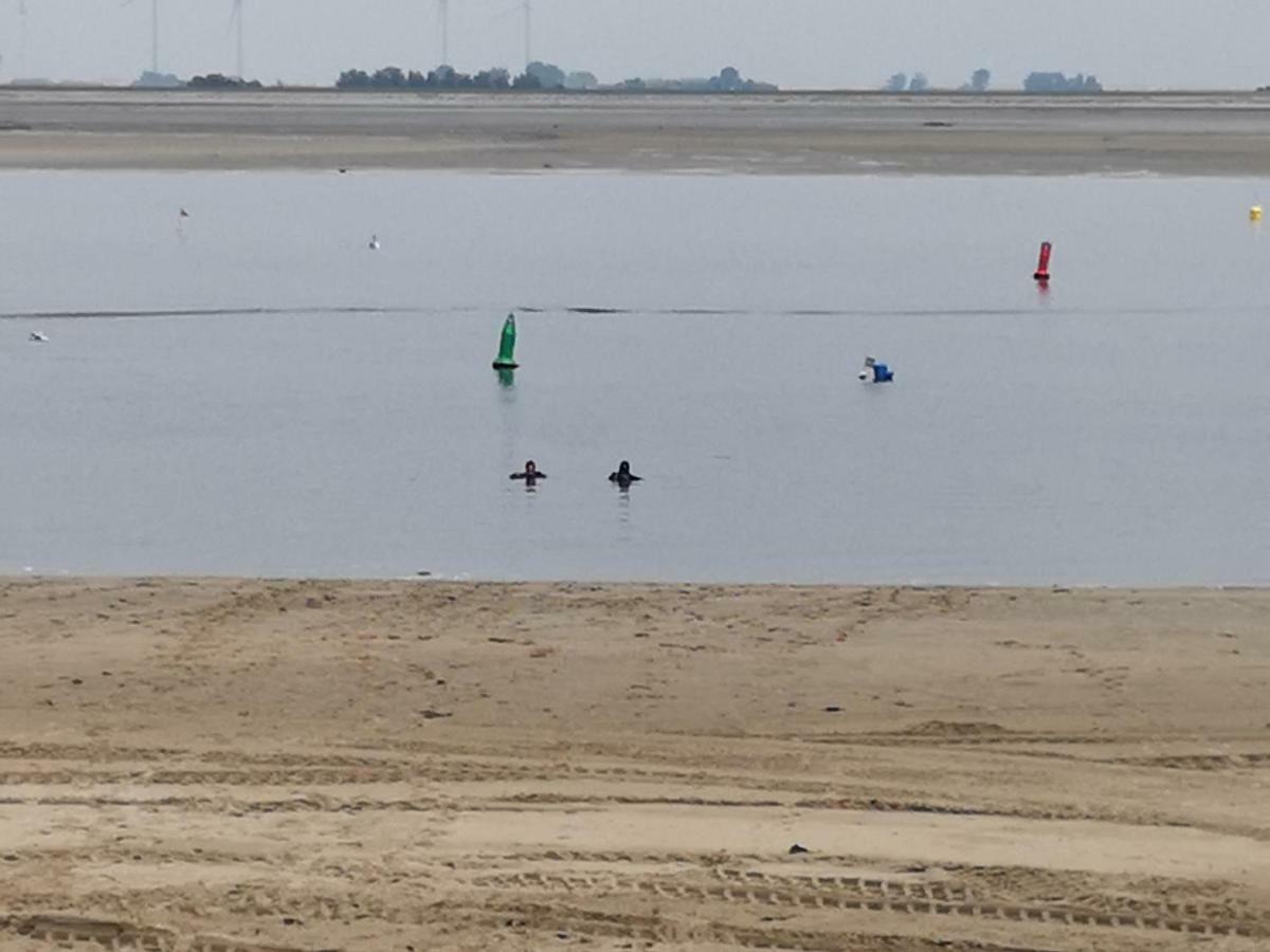 De Kreek - De Krabbenkreek Villa Sint Annaland Bagian luar foto